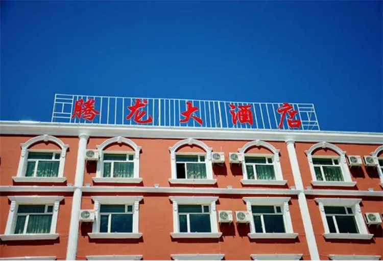 腾龙国际公司在全球市场上的表现令人瞩目